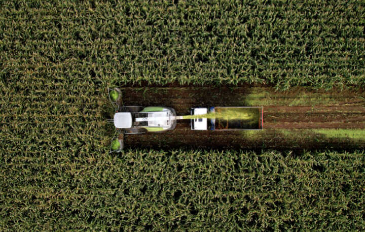 Silage Banner Themenmix Silage Banner Themenmix